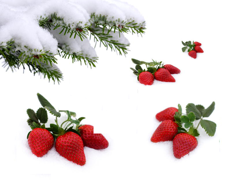 Укрывание клубники на зиму