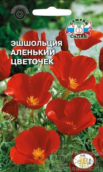 Эшшольция "Аленький цветочек" (Седек) недорого в Хабаровске