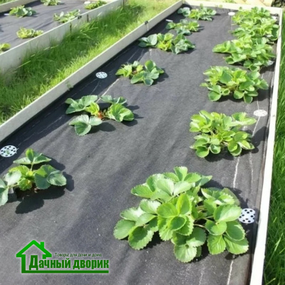 Укрывной материал "Агротекс-60" черный (ширина 3,2м) недорого в Хабаровске